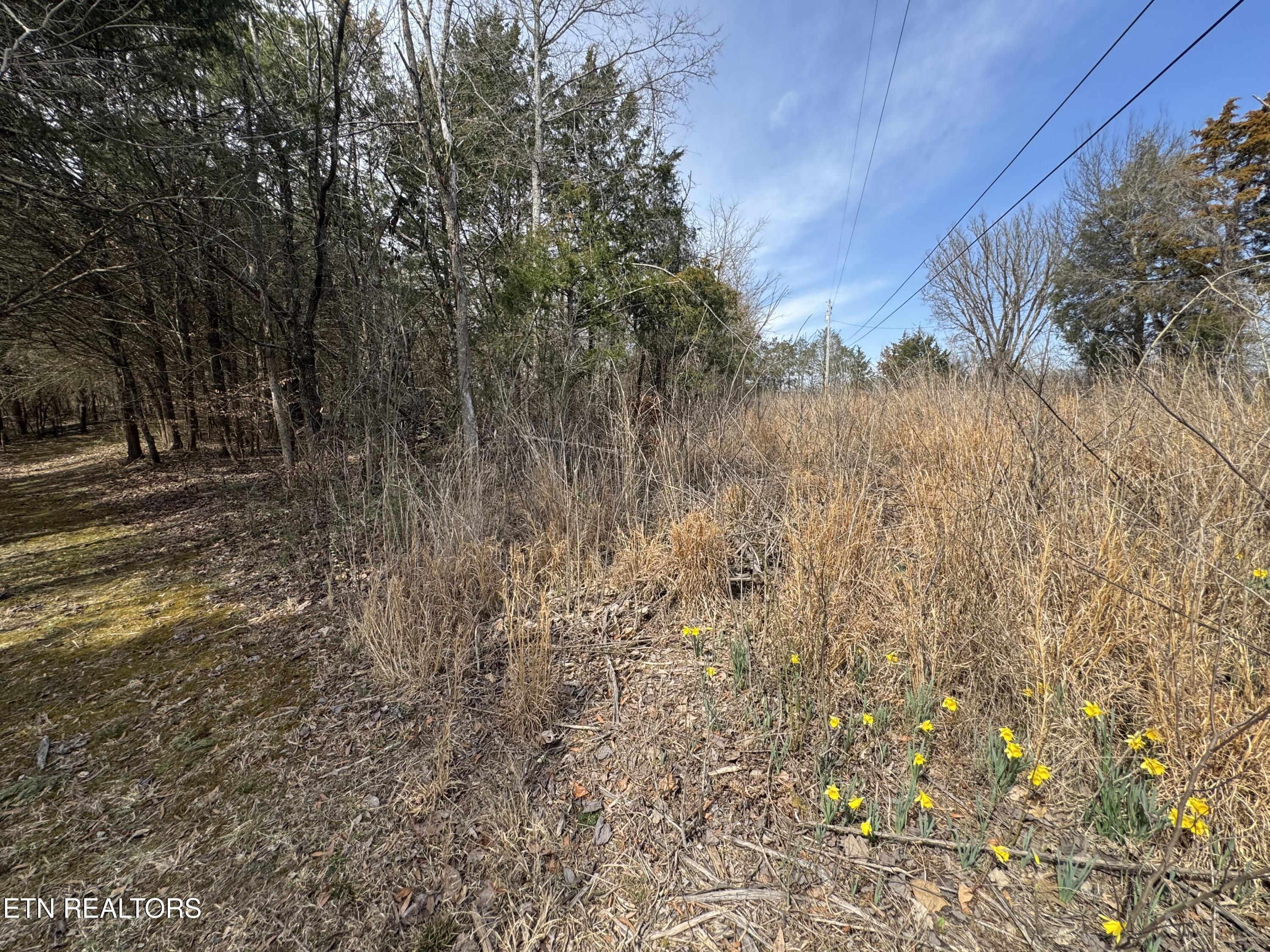 Creek Road Newport, TN 37821 - Photo 5 of 36 IMG_7113