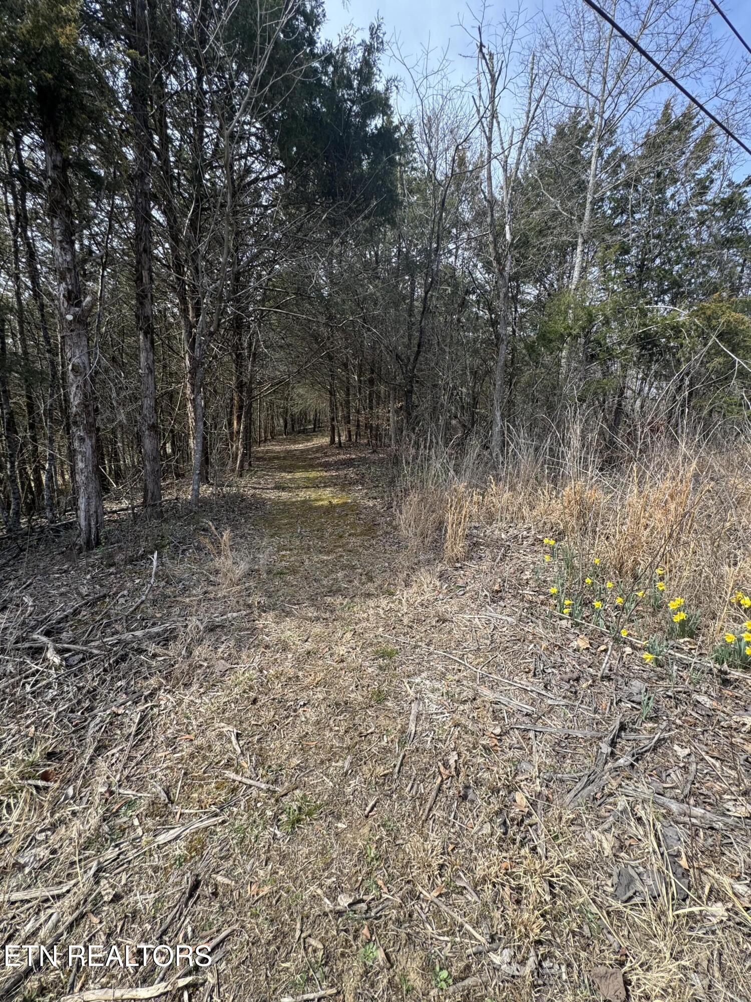 Creek Road Newport, TN 37821 - Photo 6 of 36 IMG_7082