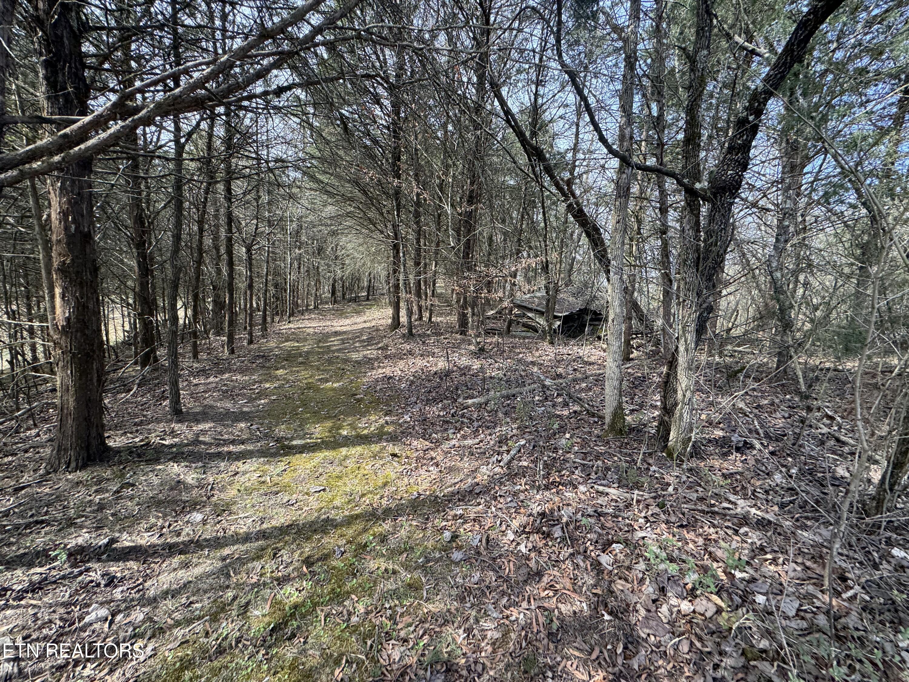 Creek Road Newport, TN 37821 - Photo 7 of 36 IMG_7083