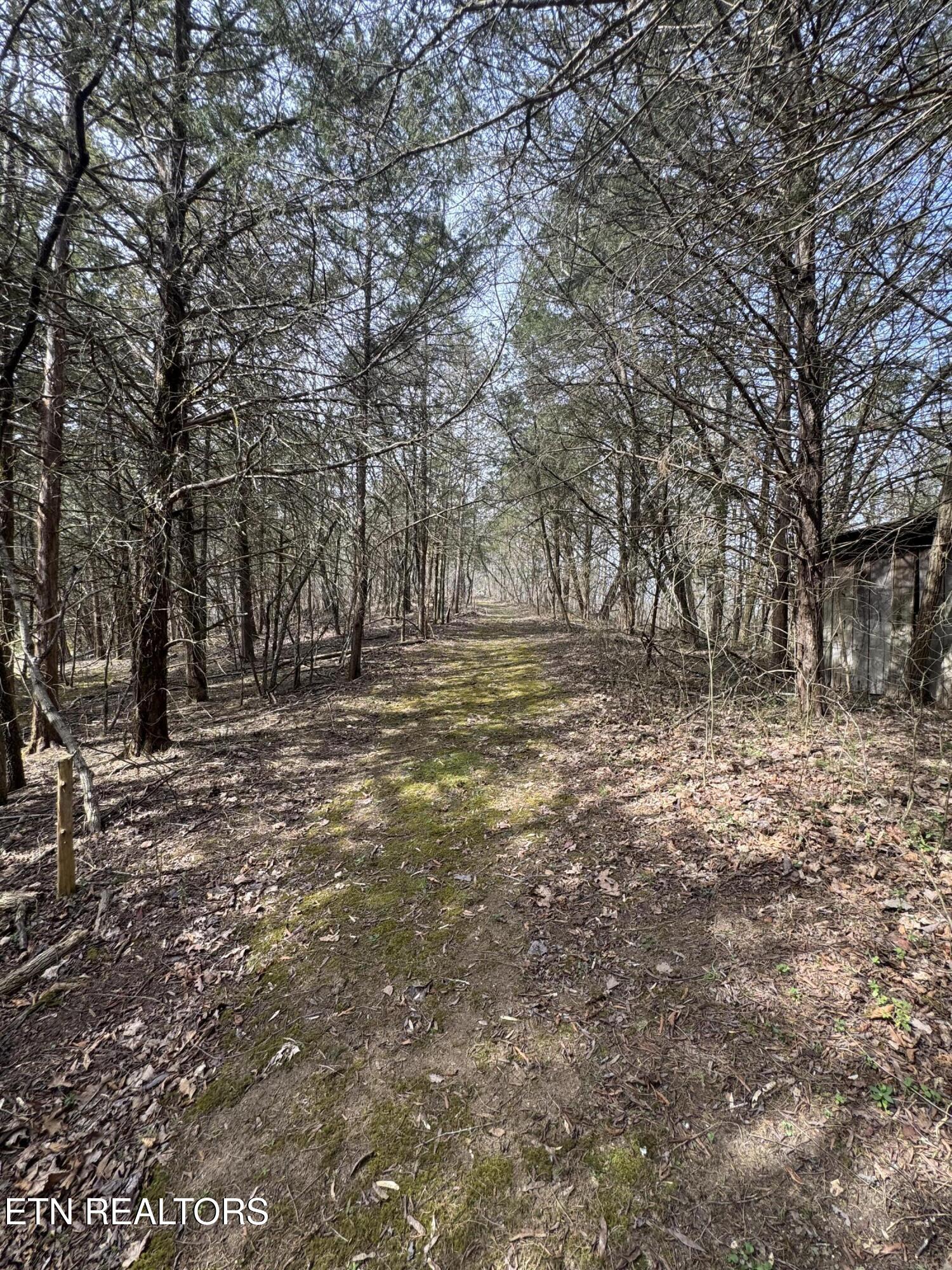 Creek Road Newport, TN 37821 - Photo 10 of 36 IMG_7088