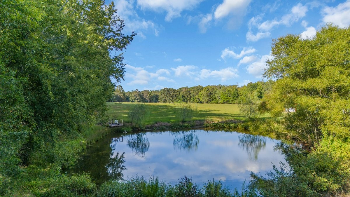 1117 Essie Cleek Road Tullahoma, TN 37388 - Photo 6 of 29 a view of a lake with a yard