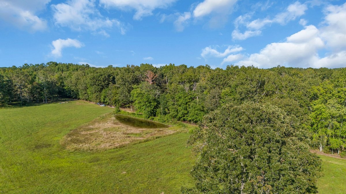 1117 Essie Cleek Road Tullahoma, TN 37388 - Photo 7 of 29 a view of a yard