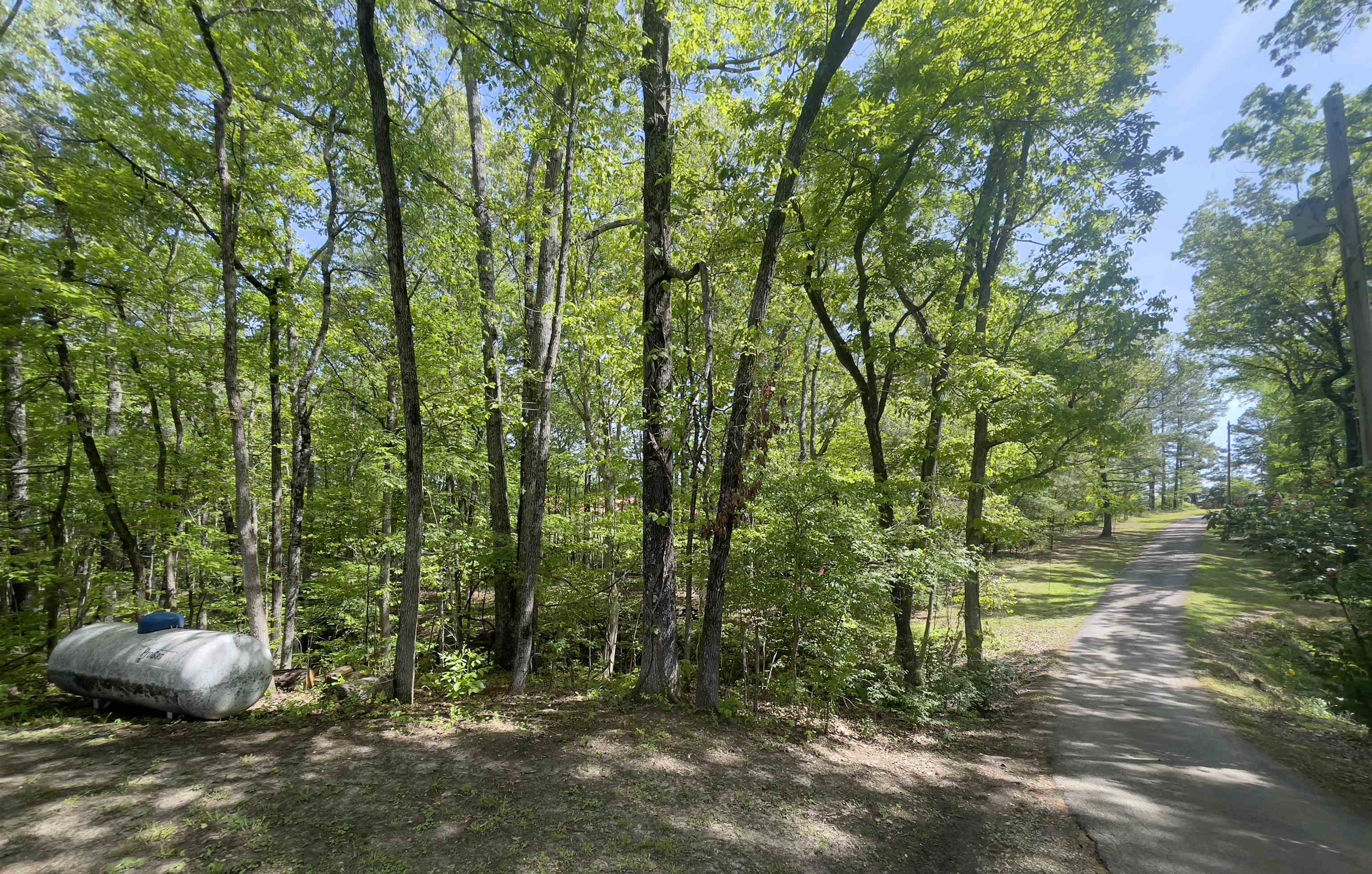 3493 Riverside Drive Jackson, TN 38301 - Photo 23 of 28 a backyard of a house with lots of green space