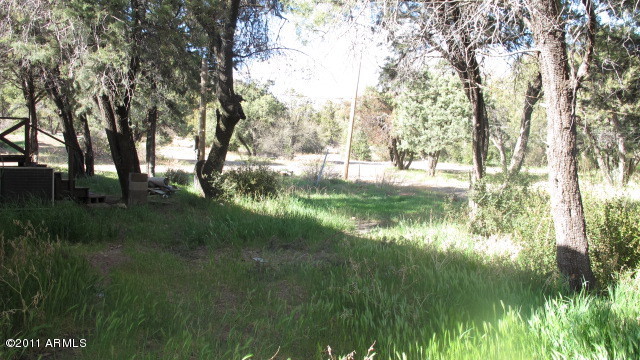 52945 Harper Road Miami, AZ 85539 - Photo 4 of 9 Outside Views