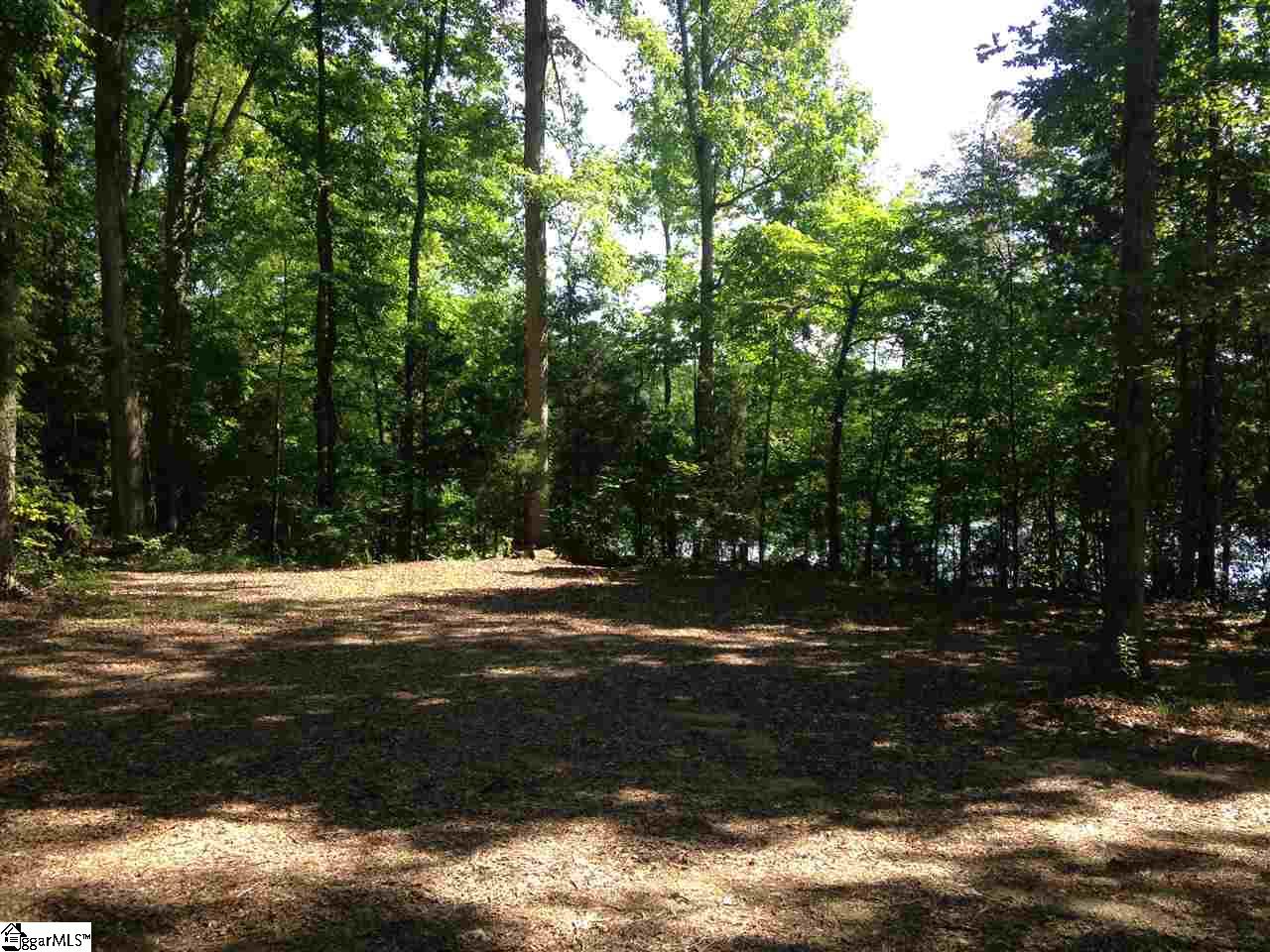 0 Riddle Town Road Gray Court, SC 29645 - Photo 1 of 4 Gallery Image 1