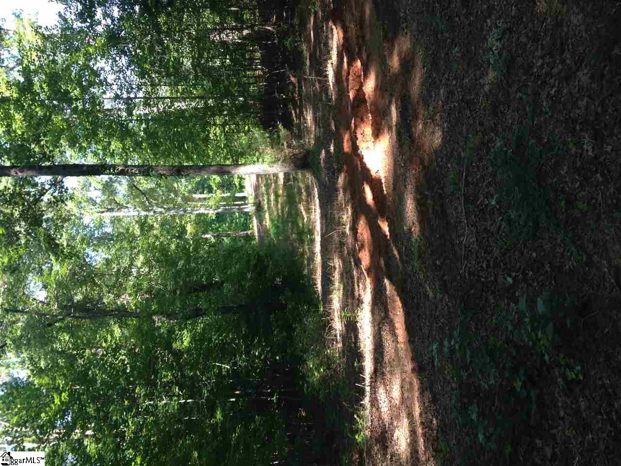 0 Riddle Town Road Gray Court, SC 29645 - Photo 2 of 4 Gallery Image 2