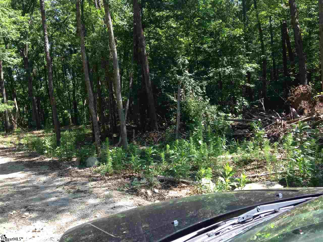 0 Riddle Town Road Gray Court, SC 29645 - Photo 3 of 4 Gallery Image 3