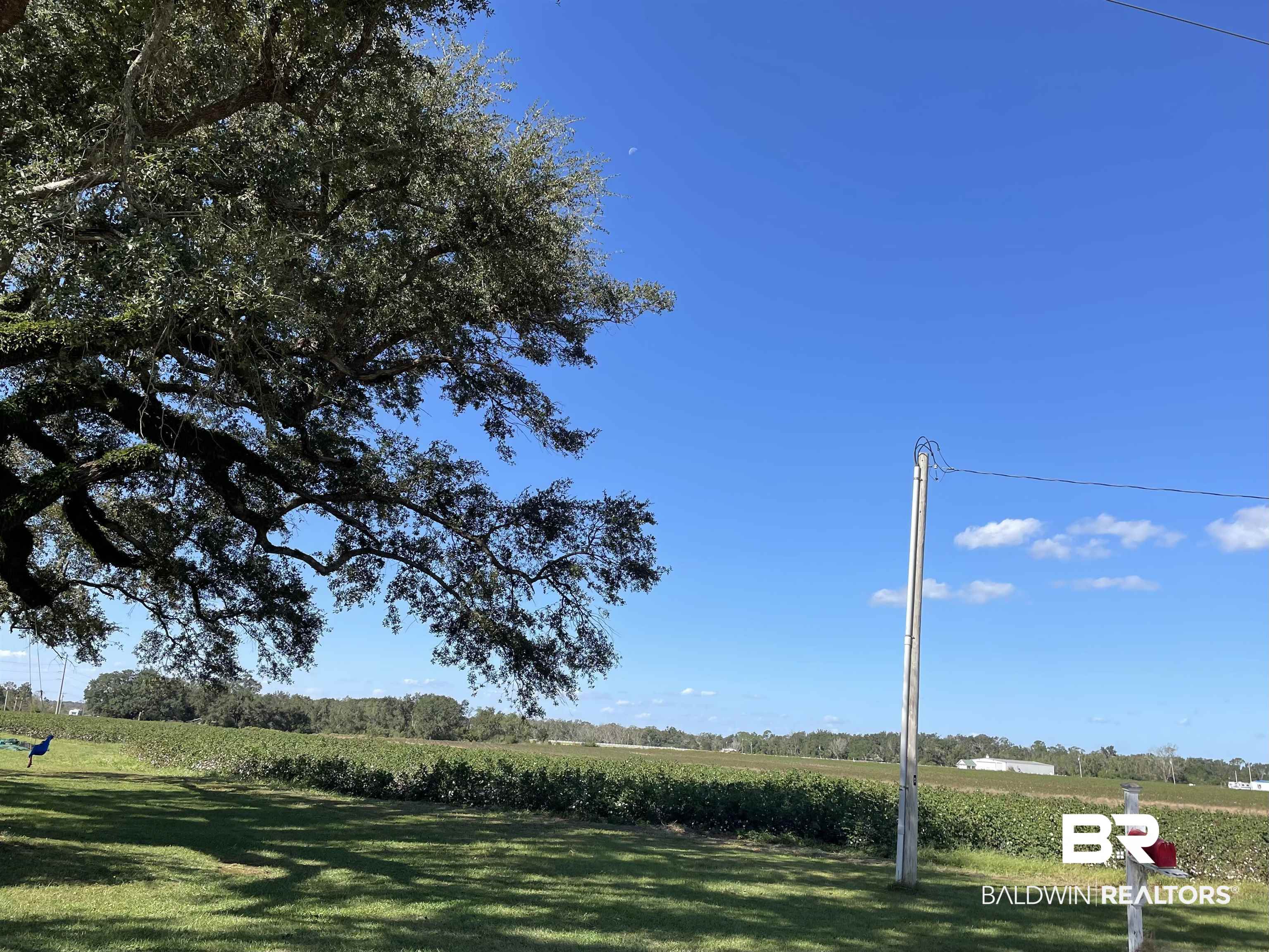 15259 Bay Road East Foley, AL 36535 - Photo 3 of 6