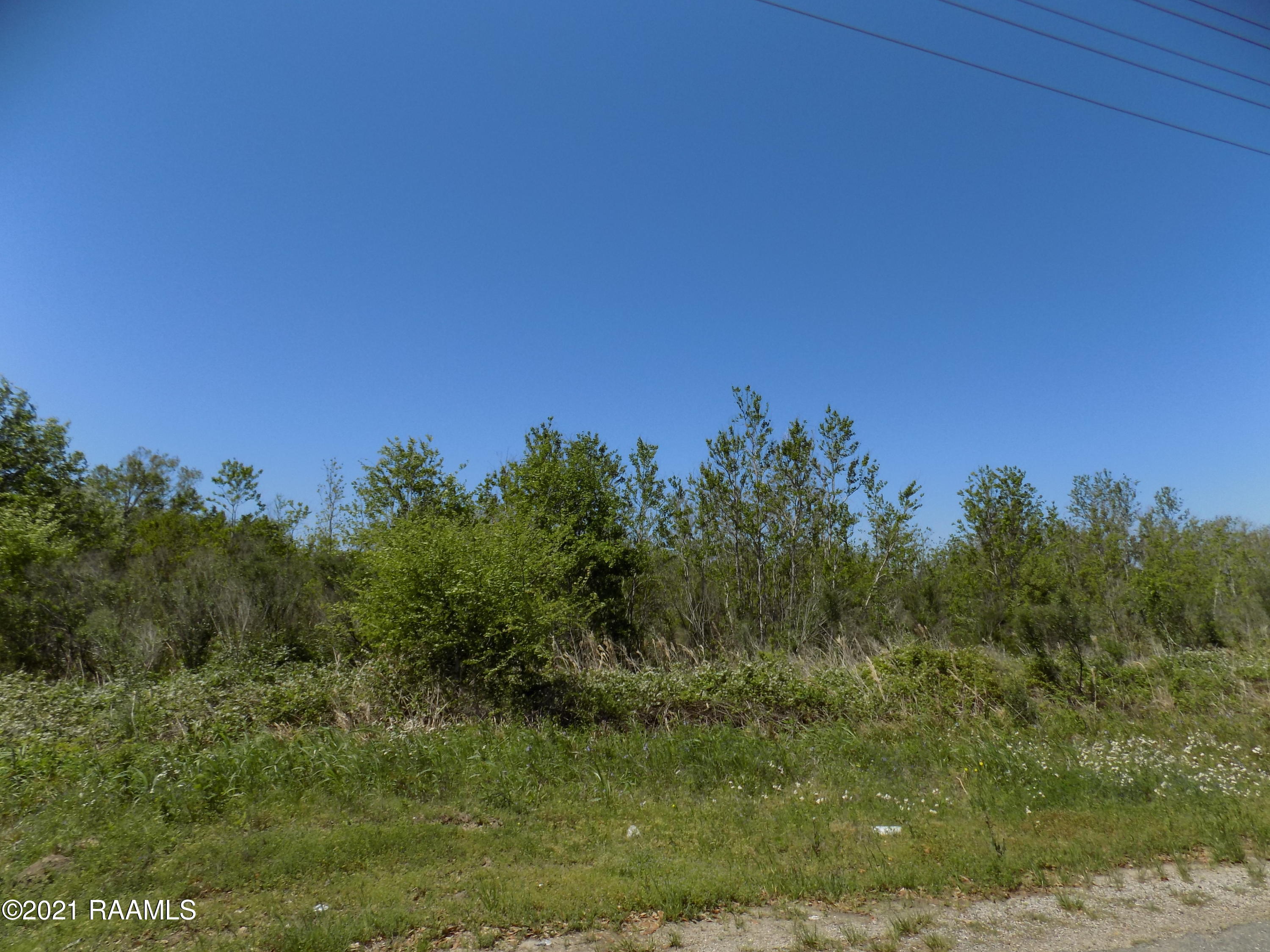 Tbd Romules Road Abbeville, LA 70510 - Photo 1 of 1