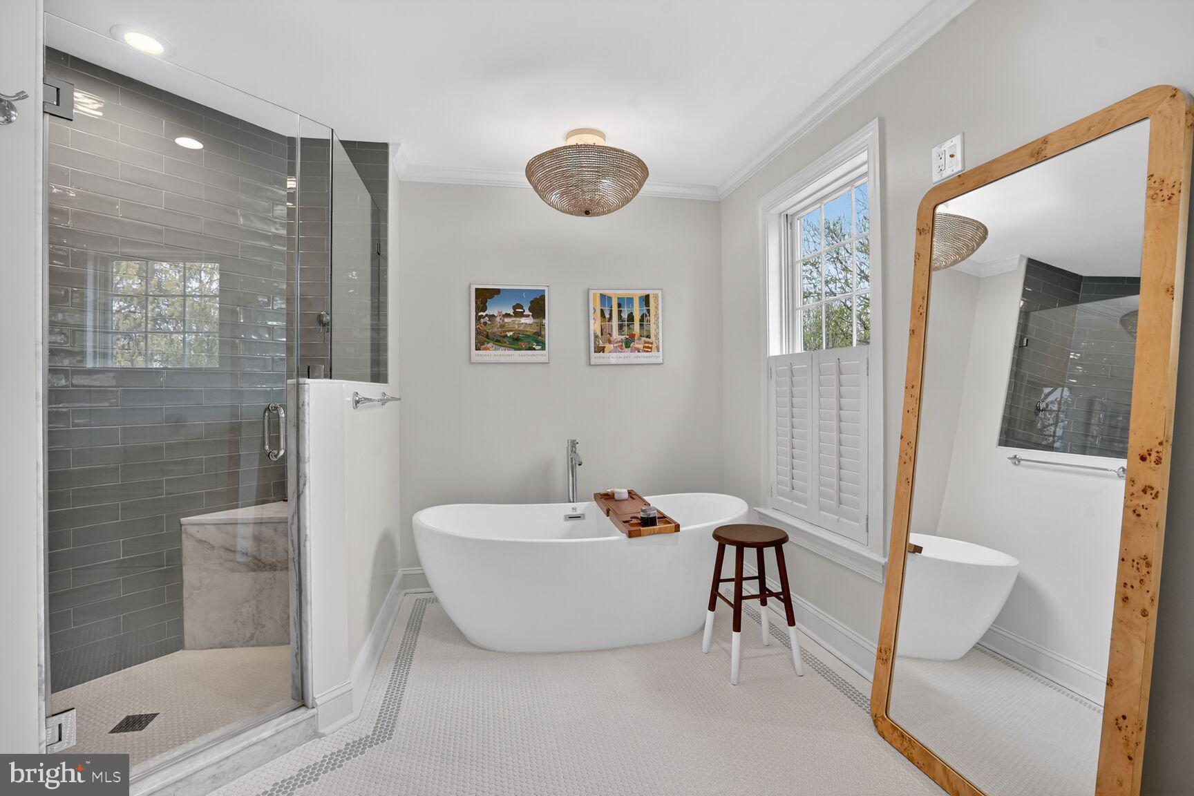 4837 W Street Northwest Washington, DC 20007 - Photo 29 of 51 Soaking tub plus shower