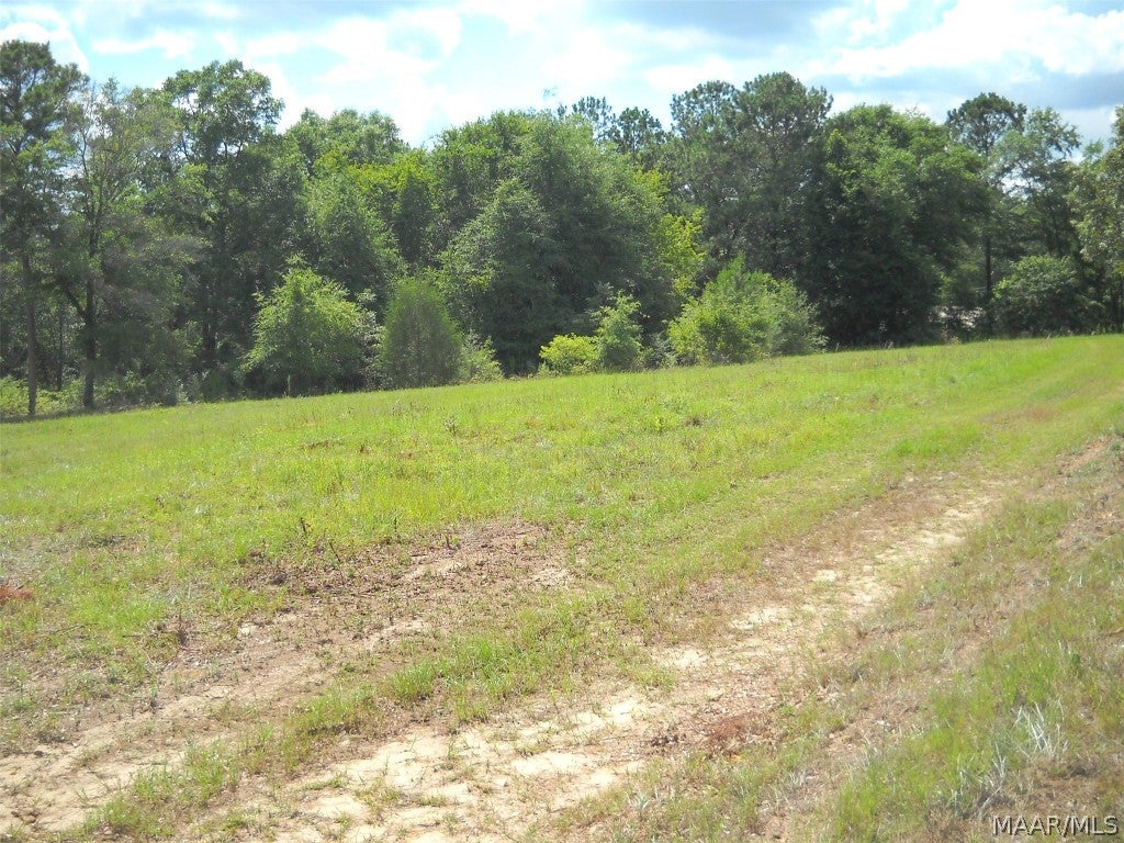 0 Whittle Hudson Road Ozark, AL 36360 - Photo 21 of 24 Gallery Image 21