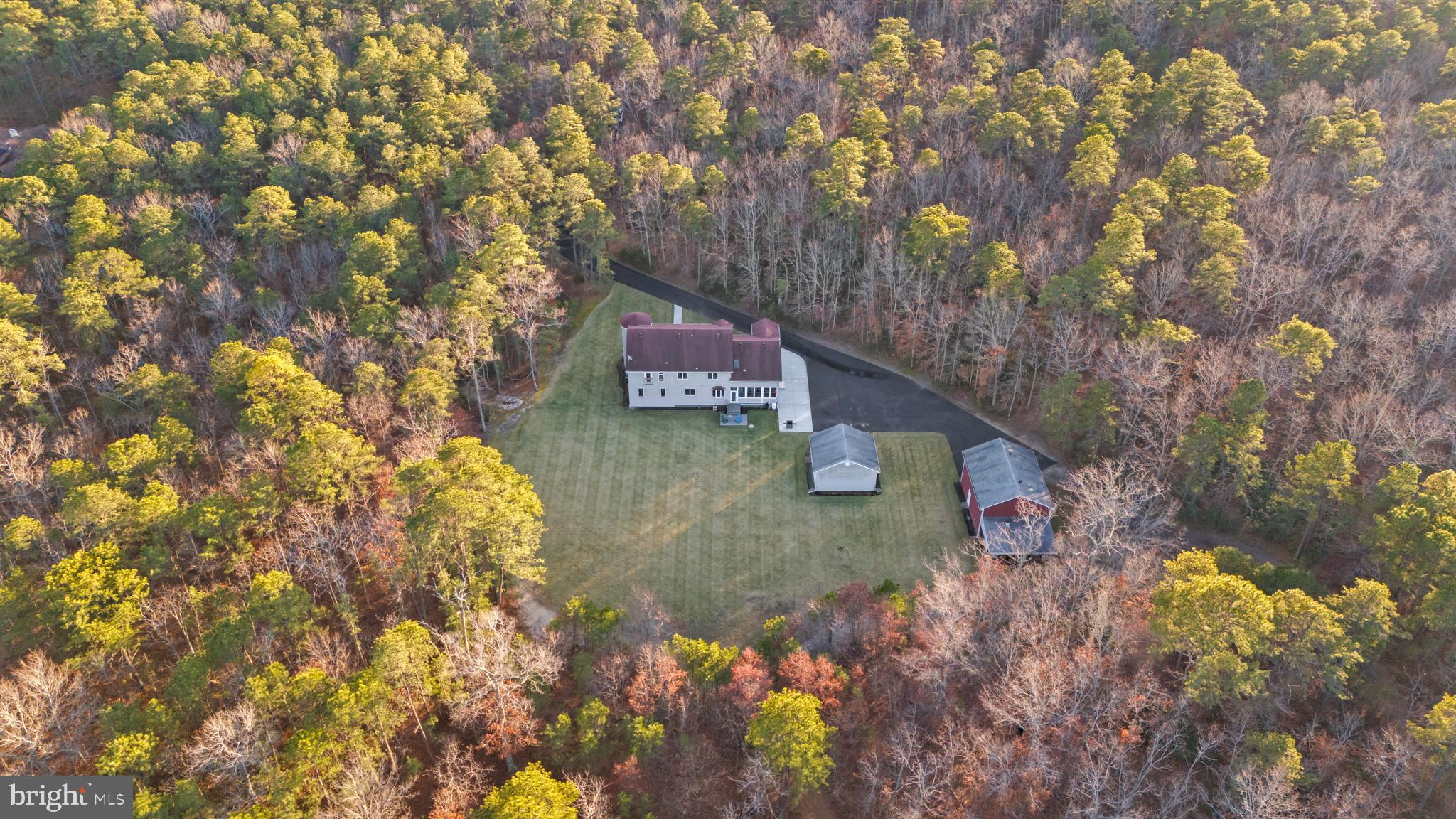 83 Maple Avenue Mays Landing, NJ 08330 - Photo 11 of 46 a view of a tree with yard