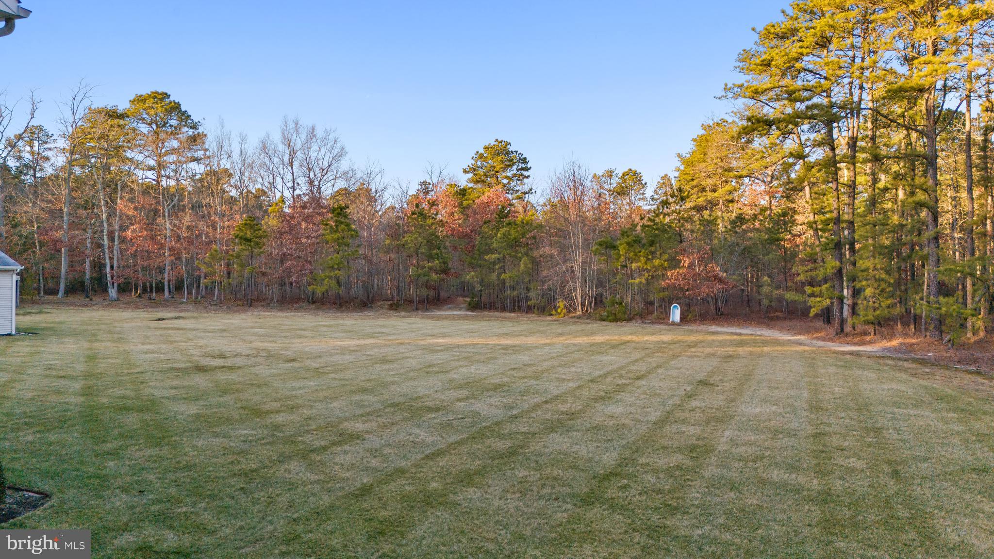 83 Maple Avenue Mays Landing, NJ 08330 - Photo 18 of 46 a view of large trees with a house