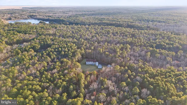 a view of a city with lush green forest
