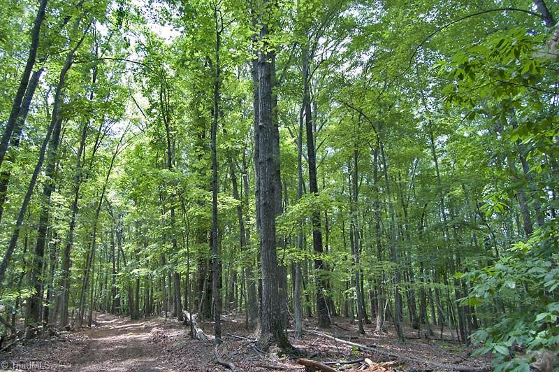 1342 Flat Rock Road Pinnacle, NC 27043 - Photo 12 of 29 Gallery Image 12
