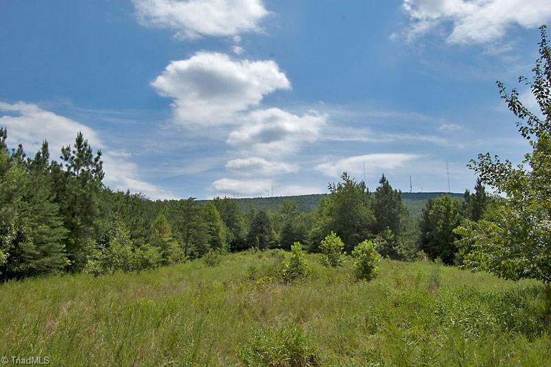 1342 Flat Rock Road Pinnacle, NC 27043 - Photo 15 of 29 Gallery Image 15