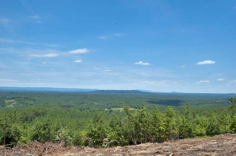1342 Flat Rock Road Pinnacle, NC 27043 - Photo 17 of 29 Gallery Image 17