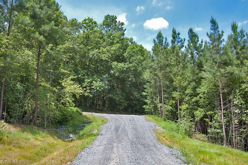 1342 Flat Rock Road Pinnacle, NC 27043 - Photo 9 of 29 Gallery Image 9