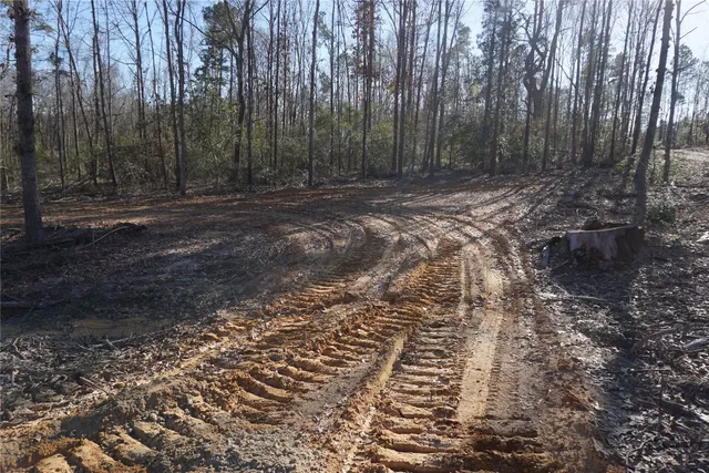 a view of outdoor space with trees