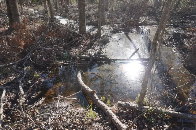 a backyard of a house