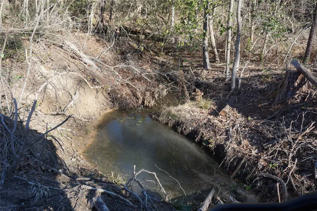 a view of outdoor space