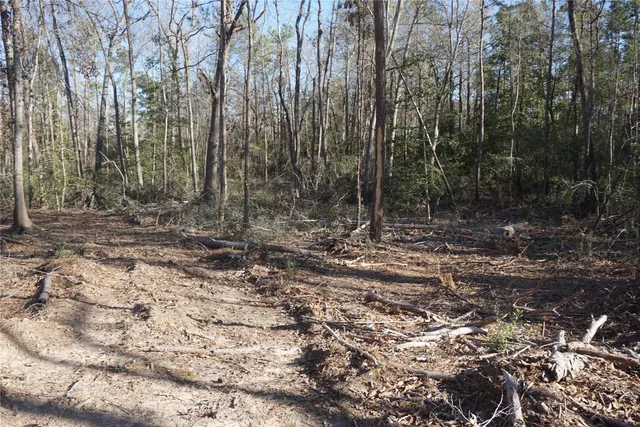 a view of outdoor space with trees