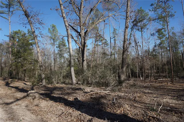 a view of backyard with green space