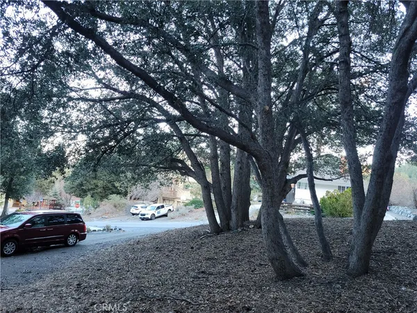 a view of a yard with a car parked