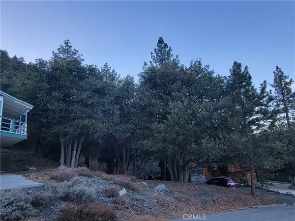 $72,888 | 0 Desert View Drive, Wrightwood, CA 92397