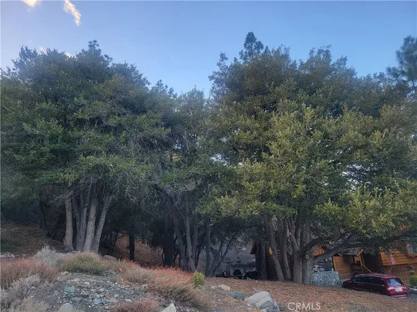 a view of a street with some trees