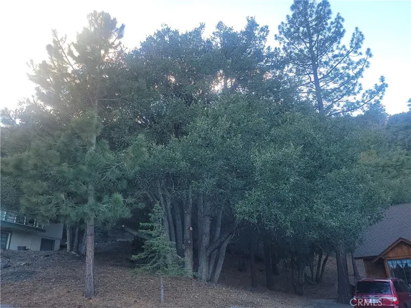 a view of a forest with trees in front of the house
