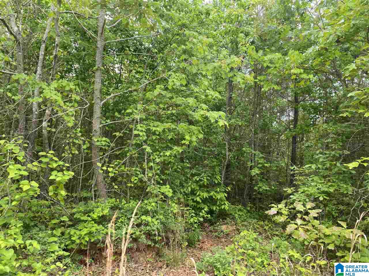 513 County Road, Unit 11 04 Woodland, AL 36280 - Photo 1 of 1