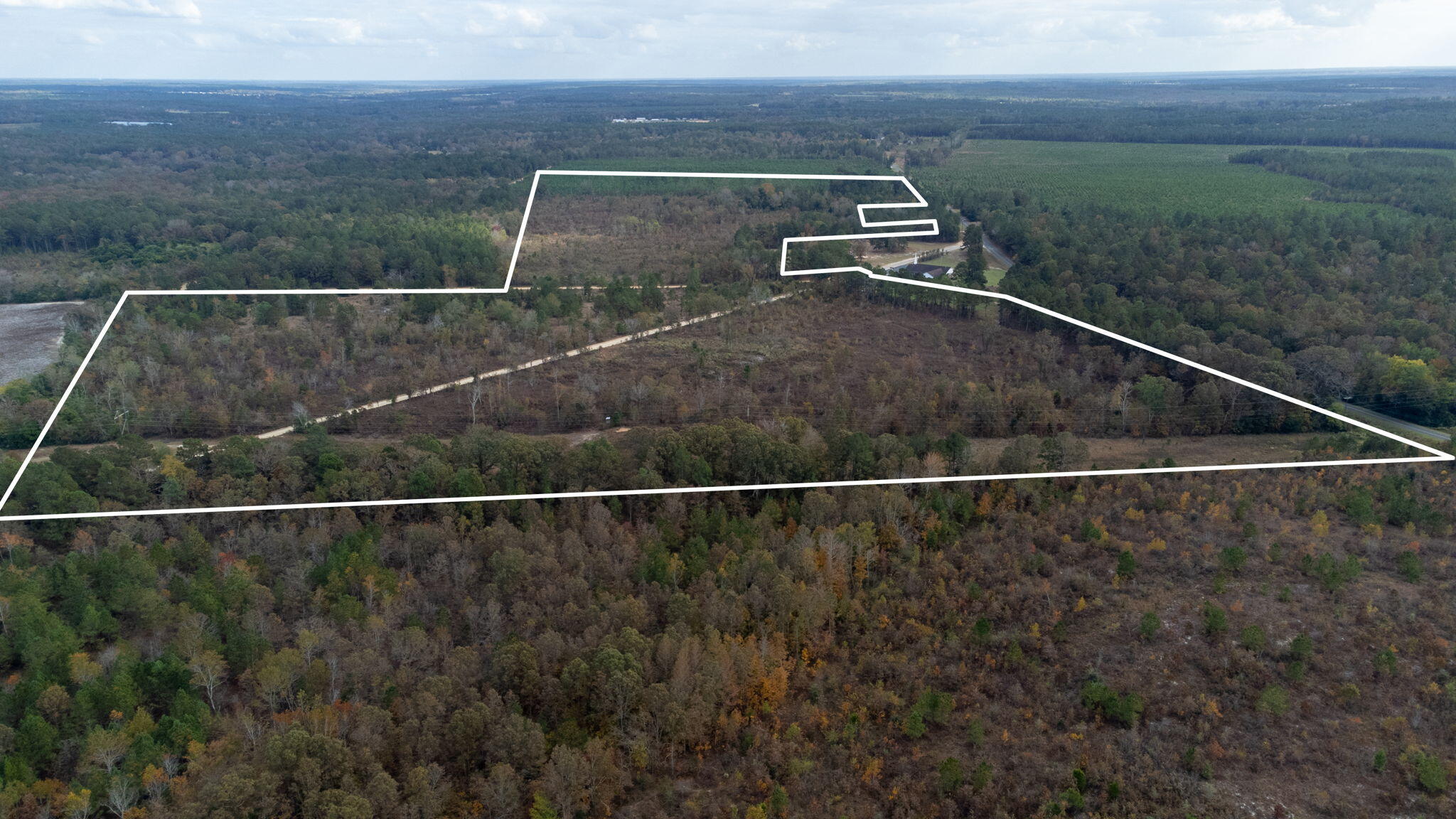 0 J B J B Swartz Road Wagener, SC 29164 - Photo 4 of 9