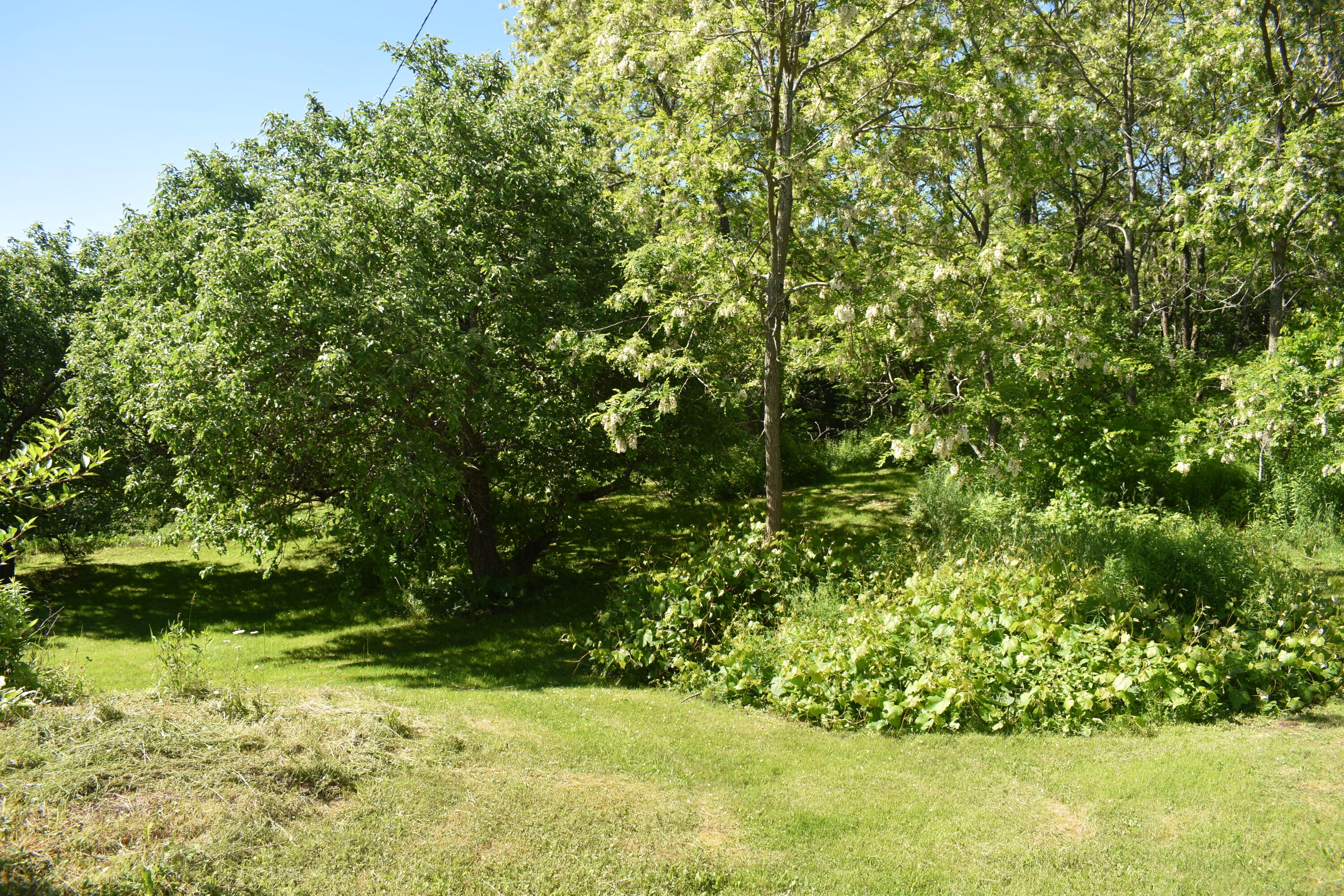 990 Tar Ridge Road Springfield, ME 04487 - Photo 41 of 56 DSC_0235