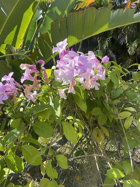 27511 Cleveland Avenue Punta Gorda, FL 33982 - Photo 42 of 50