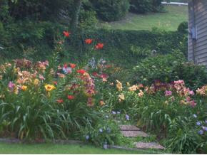 134 Windsor Road Erwin, TN 37650 - Photo 3 of 9 Photo 3