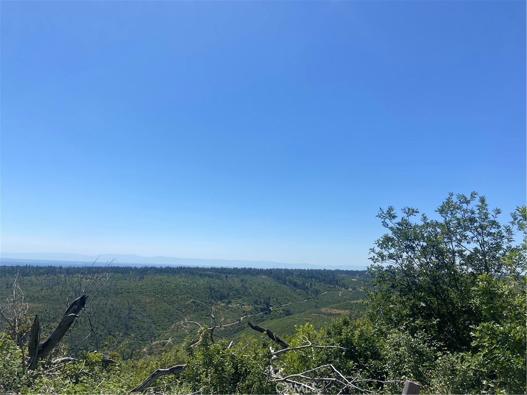 3510 Stone Mountain Road Oroville, CA 95965 - Photo 4 of 8