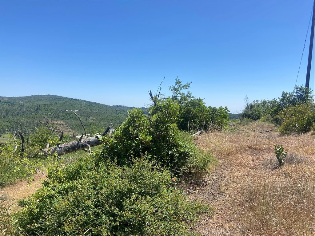 3510 Stone Mountain Road Oroville, CA 95965 - Photo 5 of 8