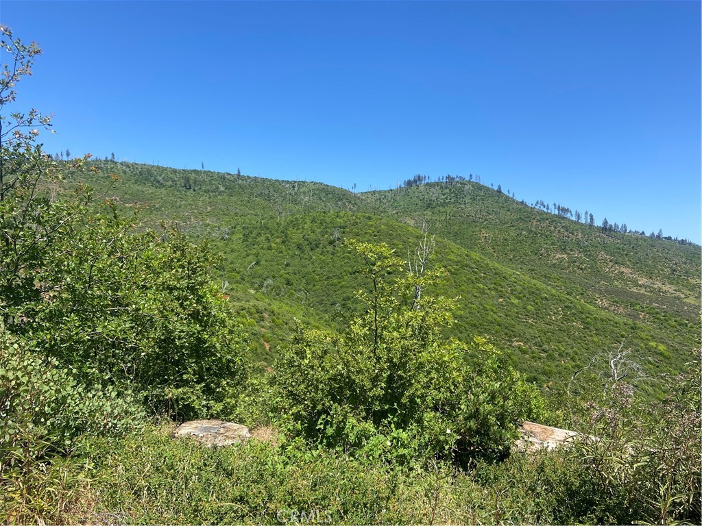 3510 Stone Mountain Road Oroville, CA 95965 - Photo 6 of 8