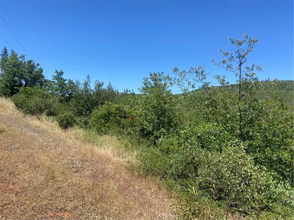 $30,000 | 3510 Stone Mountain Road, Oroville, CA 95965