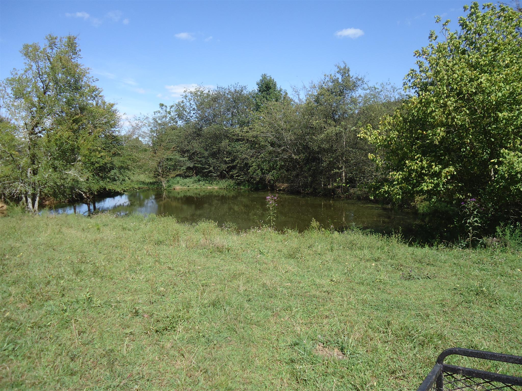 0 Tarpley Shop Road Pulaski, TN 38478 - Photo 3 of 8 Gallery Image 3