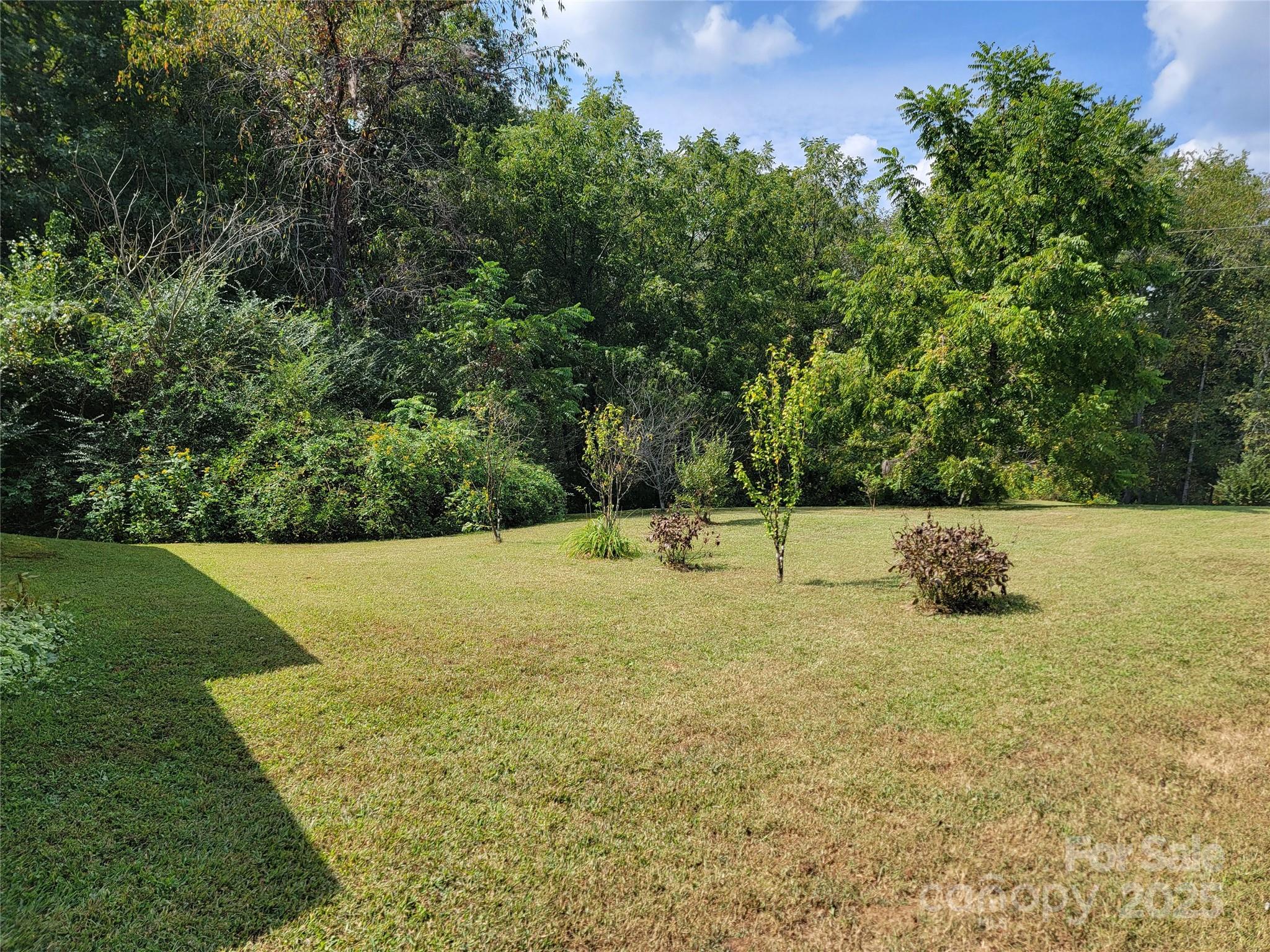 1004 Pine Mountain Road Hudson, NC 28638 - Photo 8 of 24