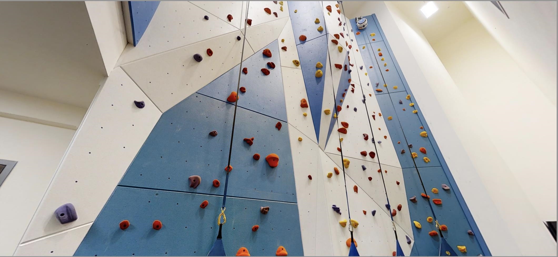 1818 Parmenter Street, Unit 2 Middleton, WI 53562 - Photo 19 of 20