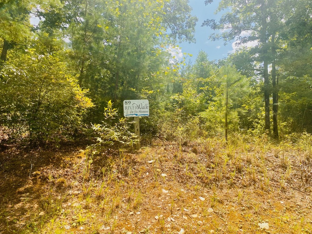 Lot 89 River Mountain Road Murphy, NC 28906 - Photo 10 of 17 Gallery Image 10