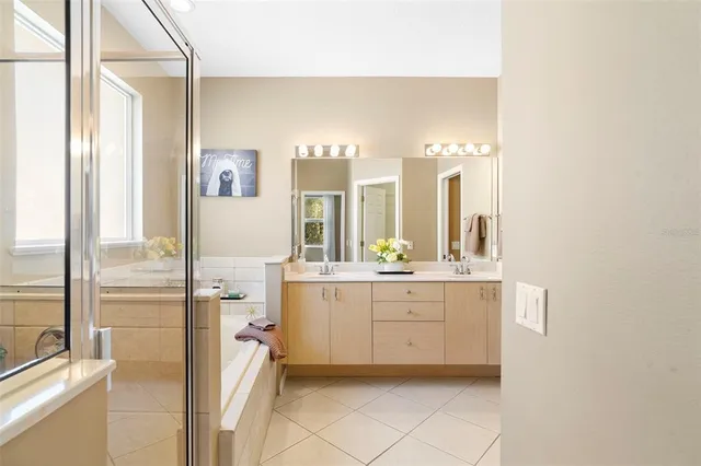 a view of a park with large trees