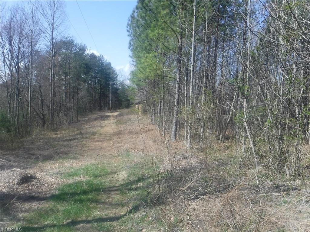 336 Tucker Road Mount Airy, NC 27030 - Photo 4 of 9 Power line Right of Way running along the I-74 Right of Way