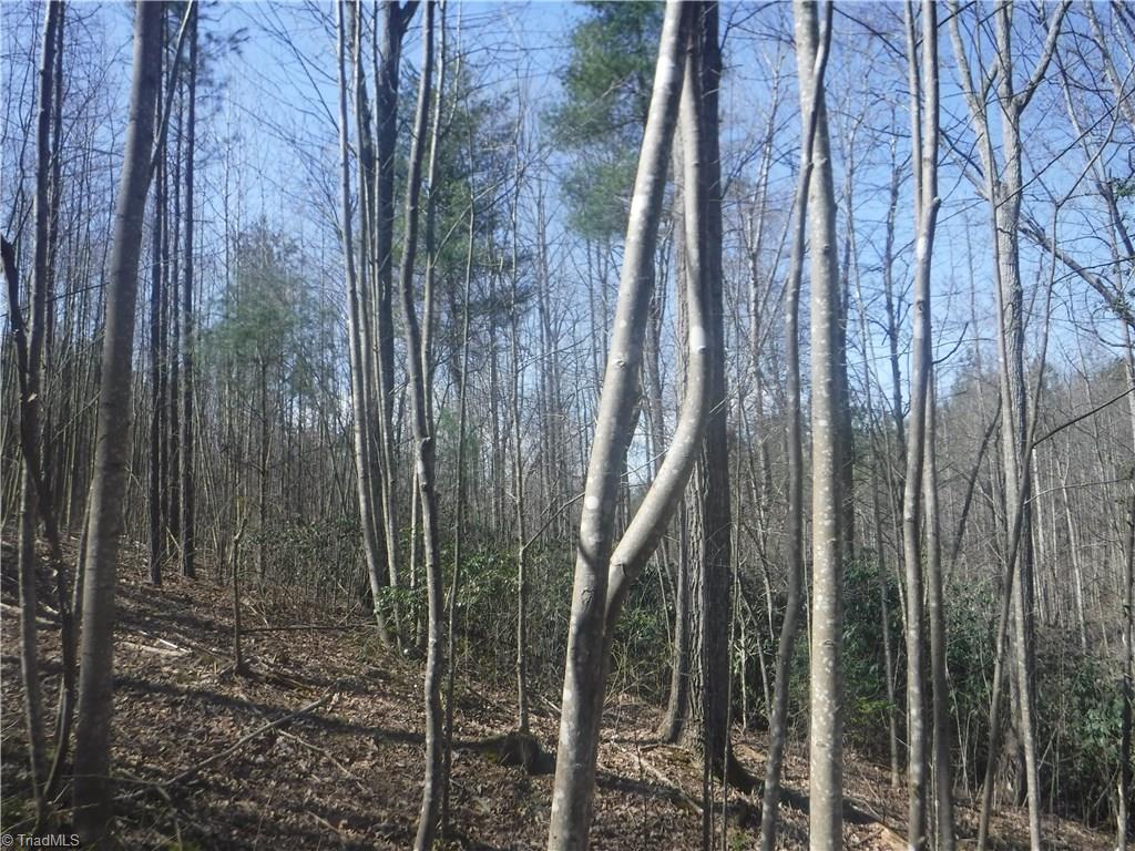 336 Tucker Road Mount Airy, NC 27030 - Photo 6 of 9 Gallery Image 6