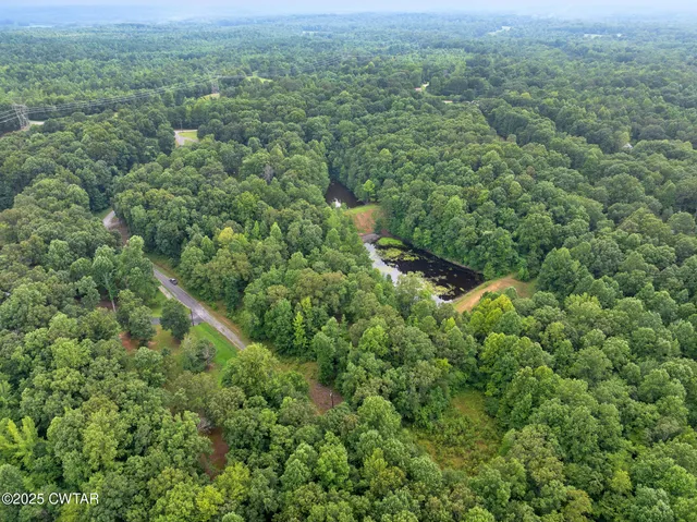 an aerial view of residential houses with outdoor space and trees