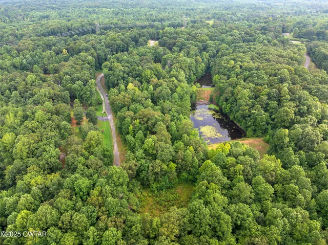 $25,000 | 163 Jason Hollow Road, Cedar Grove, TN 38321