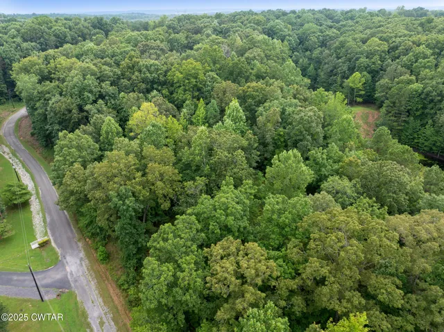 an aerial view of a forest with houses
